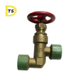 Hot Sale Fuel Demand Disel Hose Bronze  Type A External Thread Globe Valve